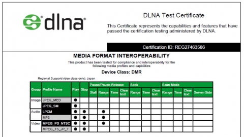 dlna-06